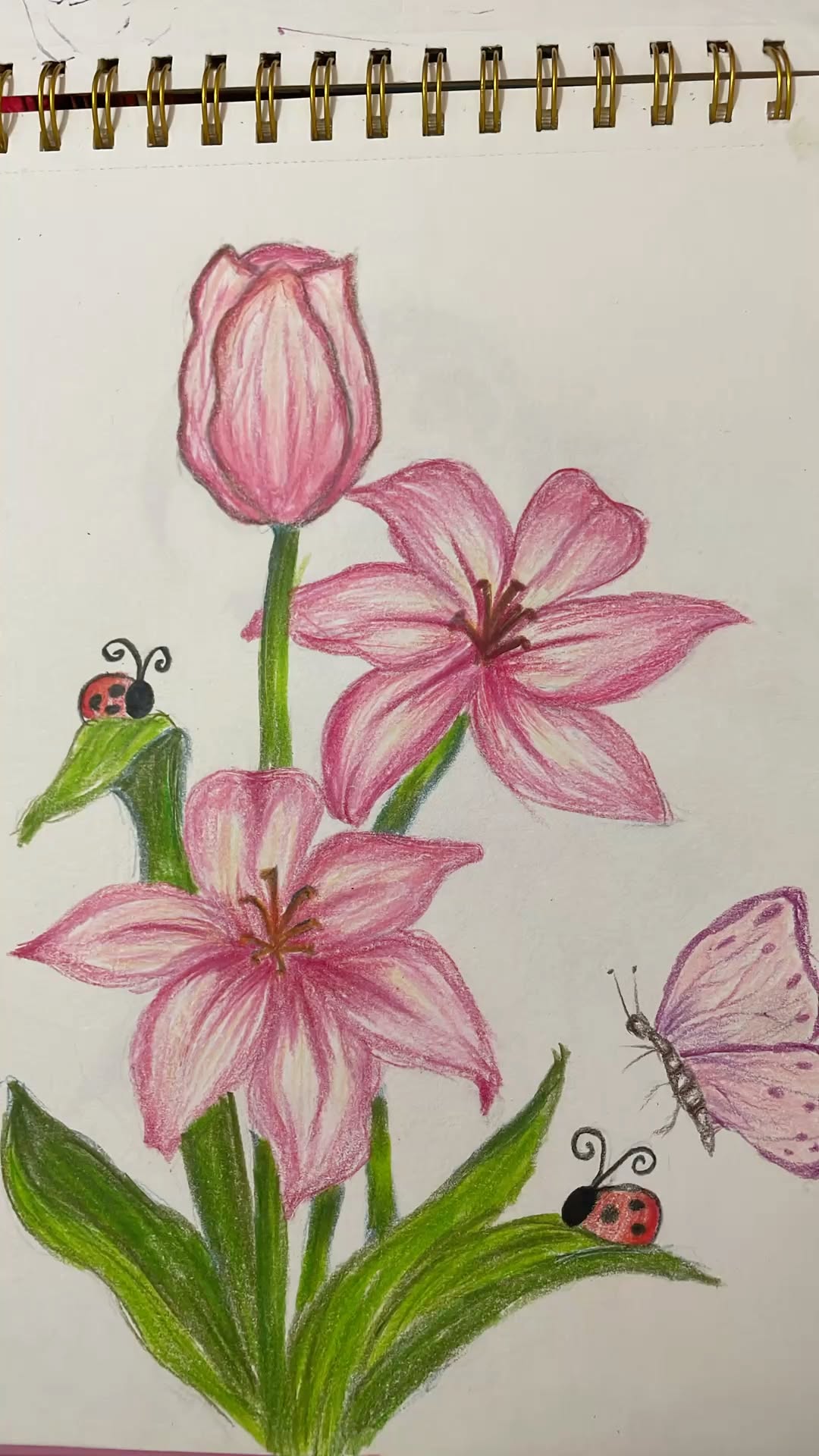 Charming Pink Lilies and Tulips with Insects