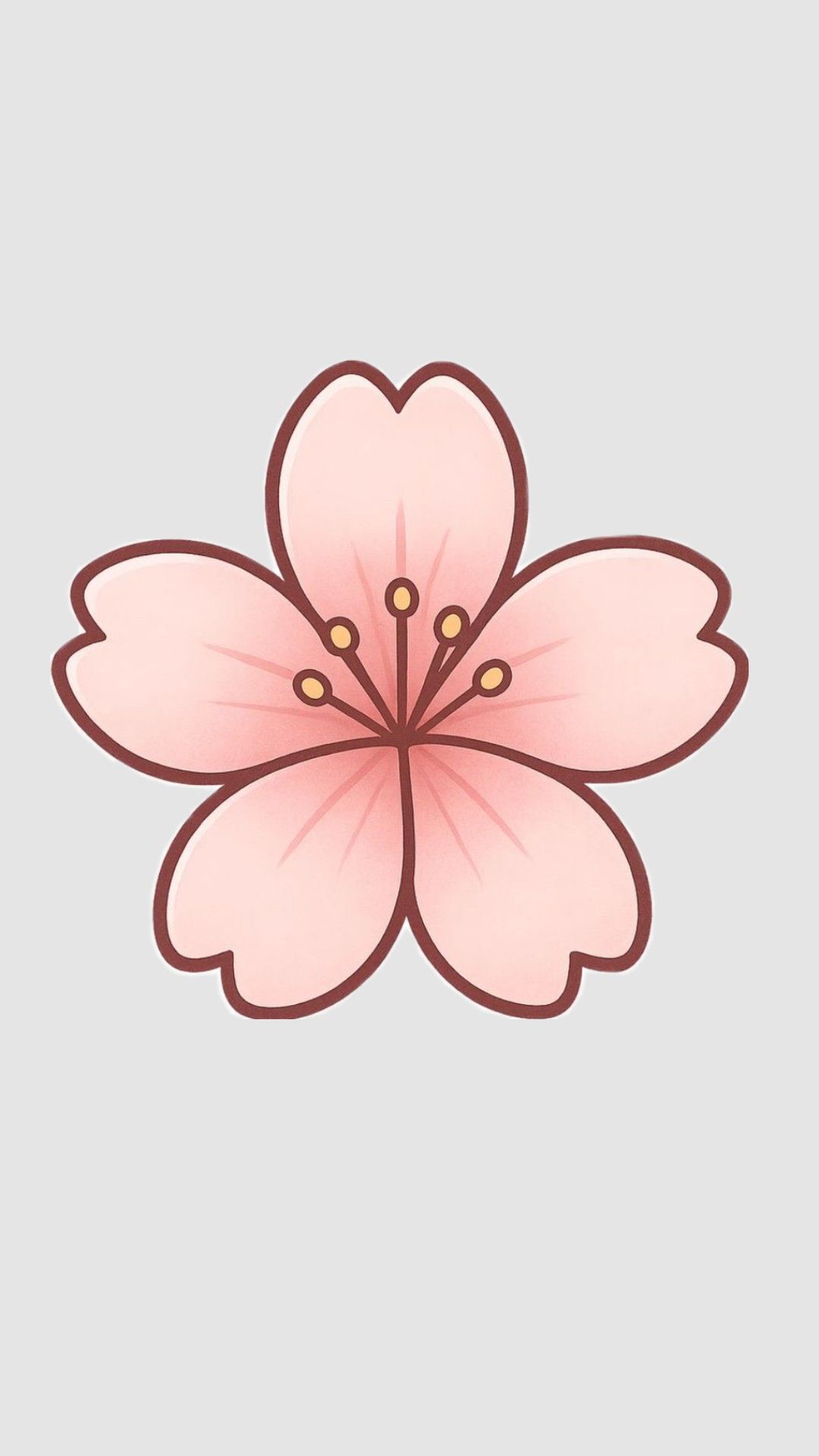 Delicate Cherry Blossom with Pink Petals