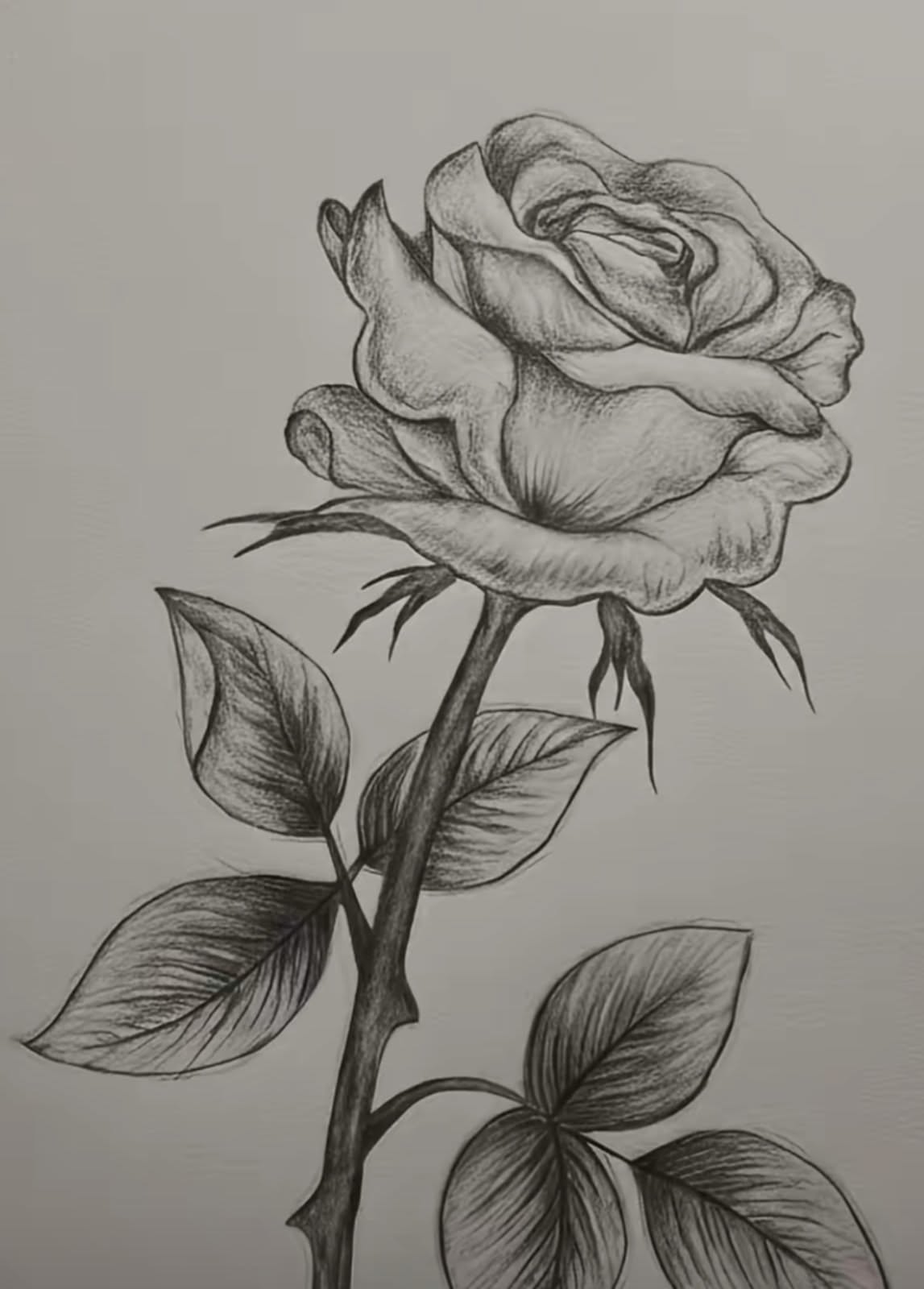 Detailed Black and White Rose with Leaves