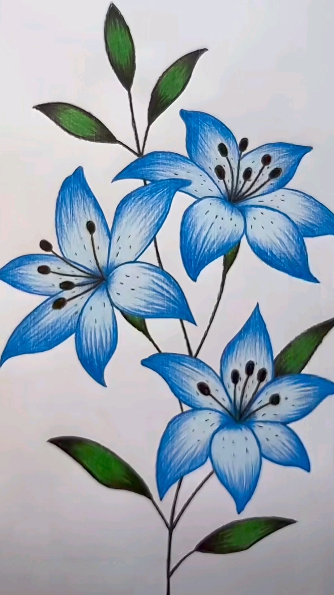 Elegant Blue Lilies with Green Leaves