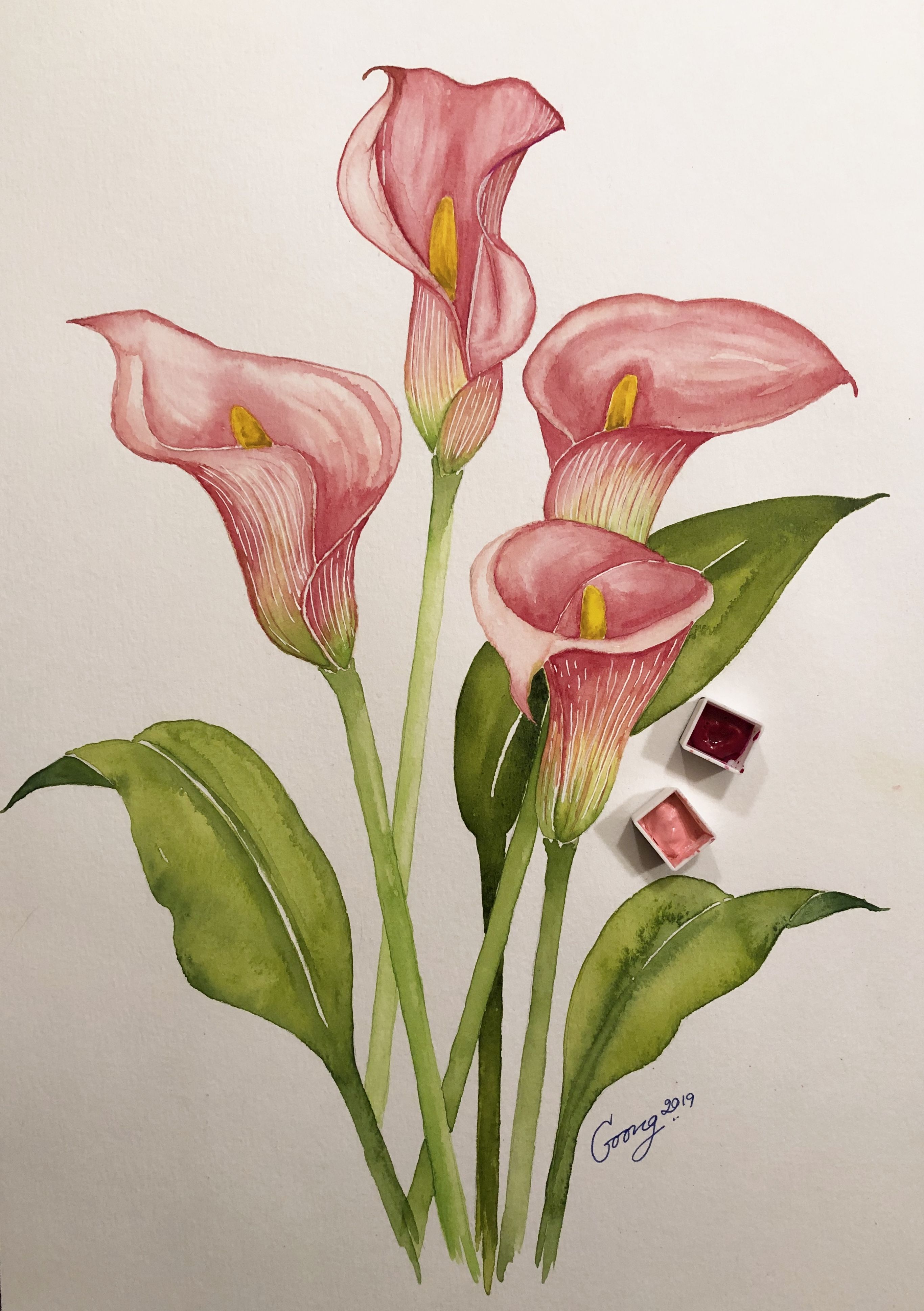 Elegant Calla Lilies in Soft Pink