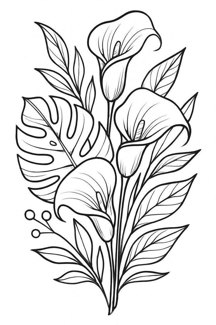 Flower Drawing: Elegant Calla Lily Bouquet with Tropical Leaves