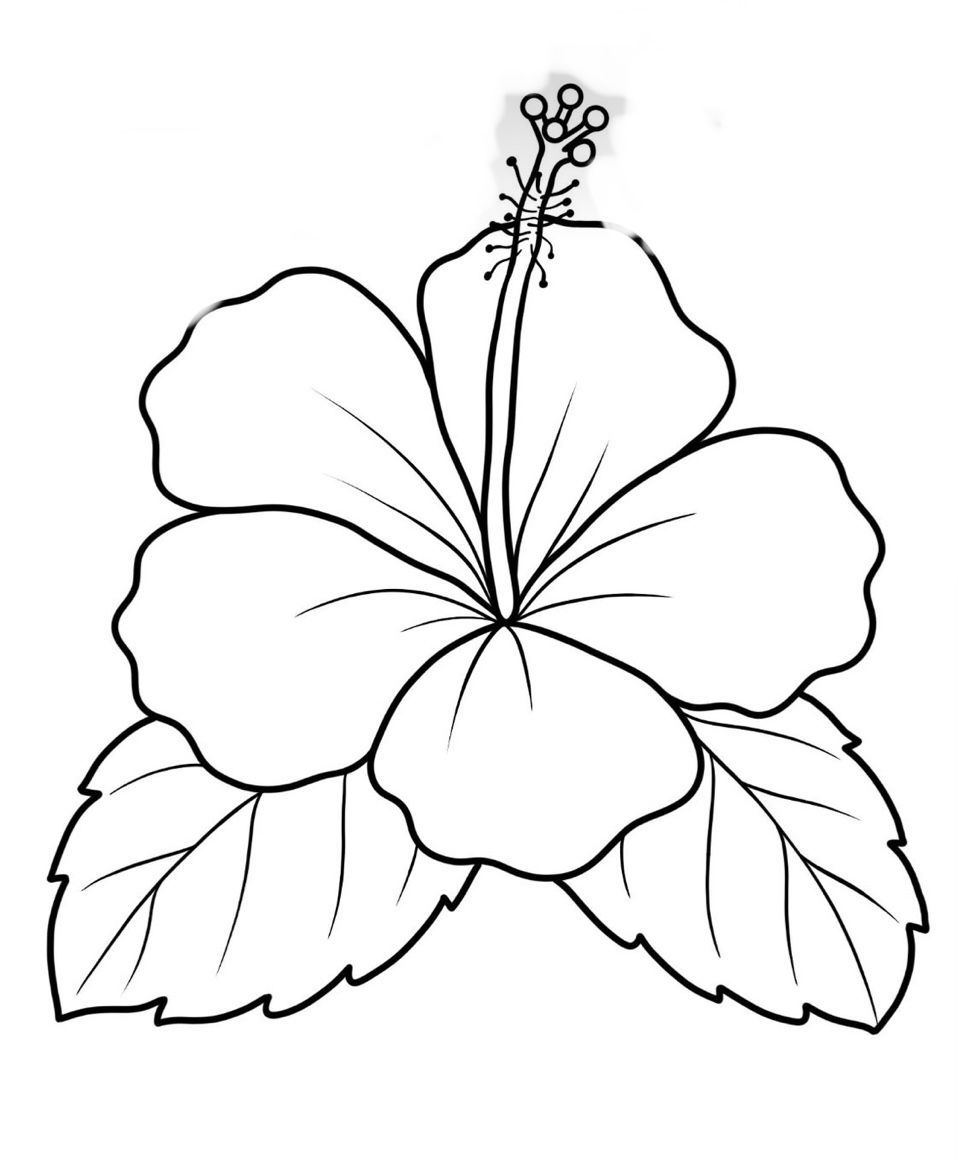 Elegant Hibiscus Blossom with Leaves