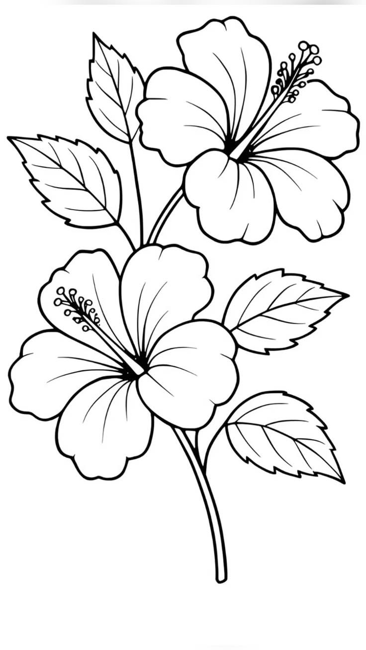 Elegant Hibiscus Flowers with Lush Leaves