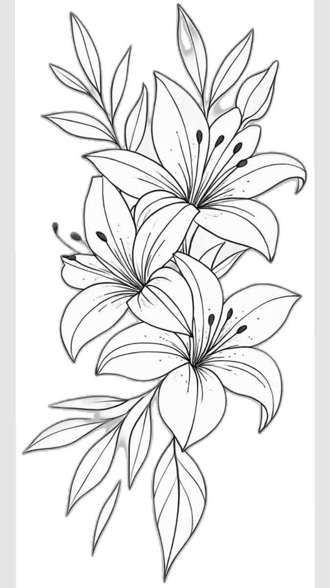 Flower Drawing: Elegant Lilies with Delicate Leaves