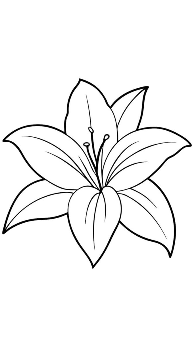Elegant Lily Blossom with Detailed Petals