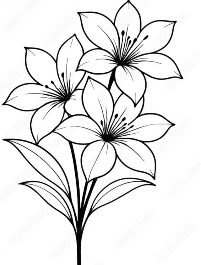 Flower Drawing: Elegant Lily Bouquet with Leaves
