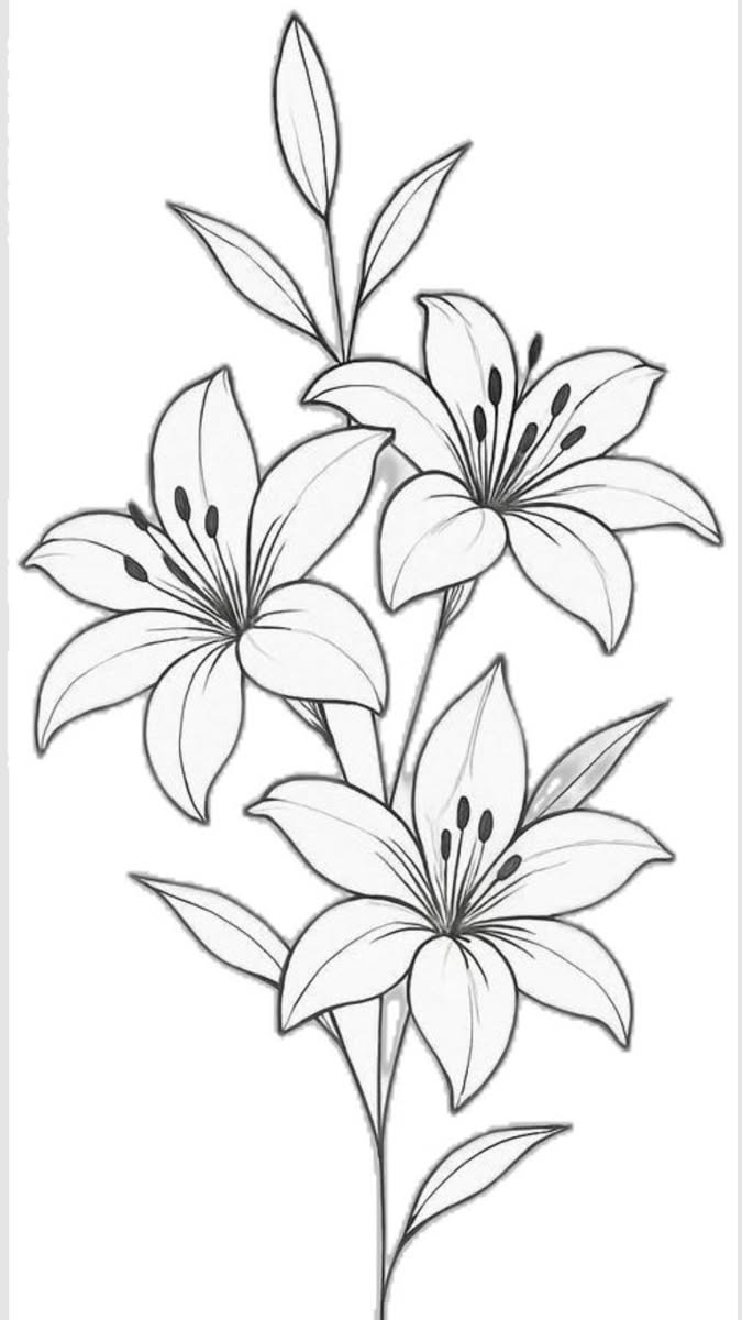 Elegant Lily Bouquet with Leaves