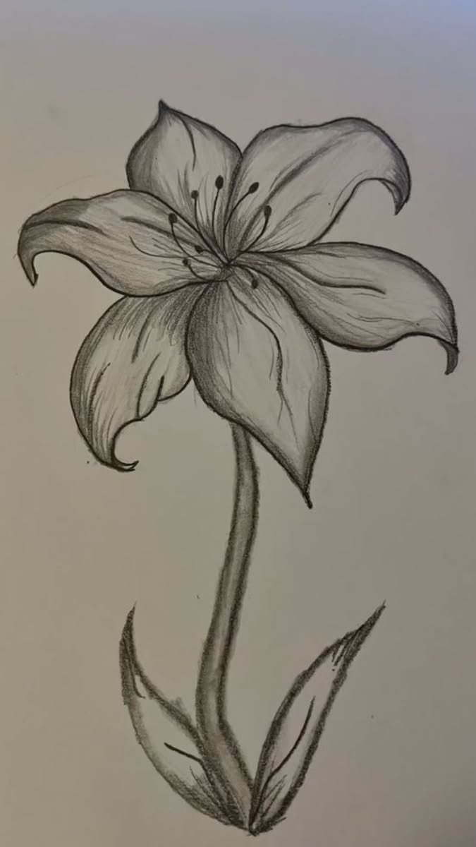 Elegant Lily with Graceful Petals