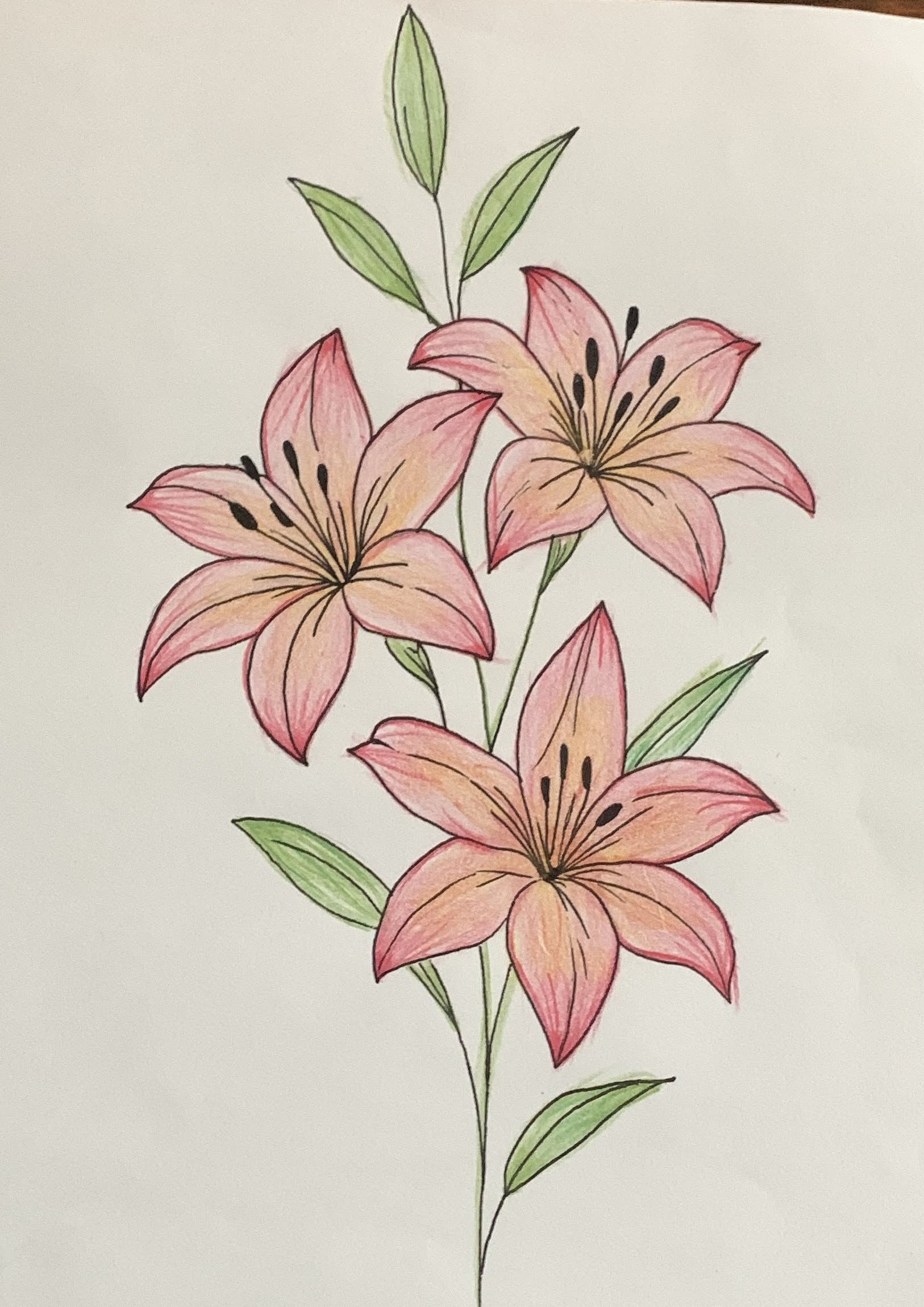 Elegant Pink Lily Bouquet