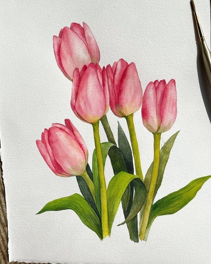 Elegant Pink Tulip Blooms in Gentle Light
