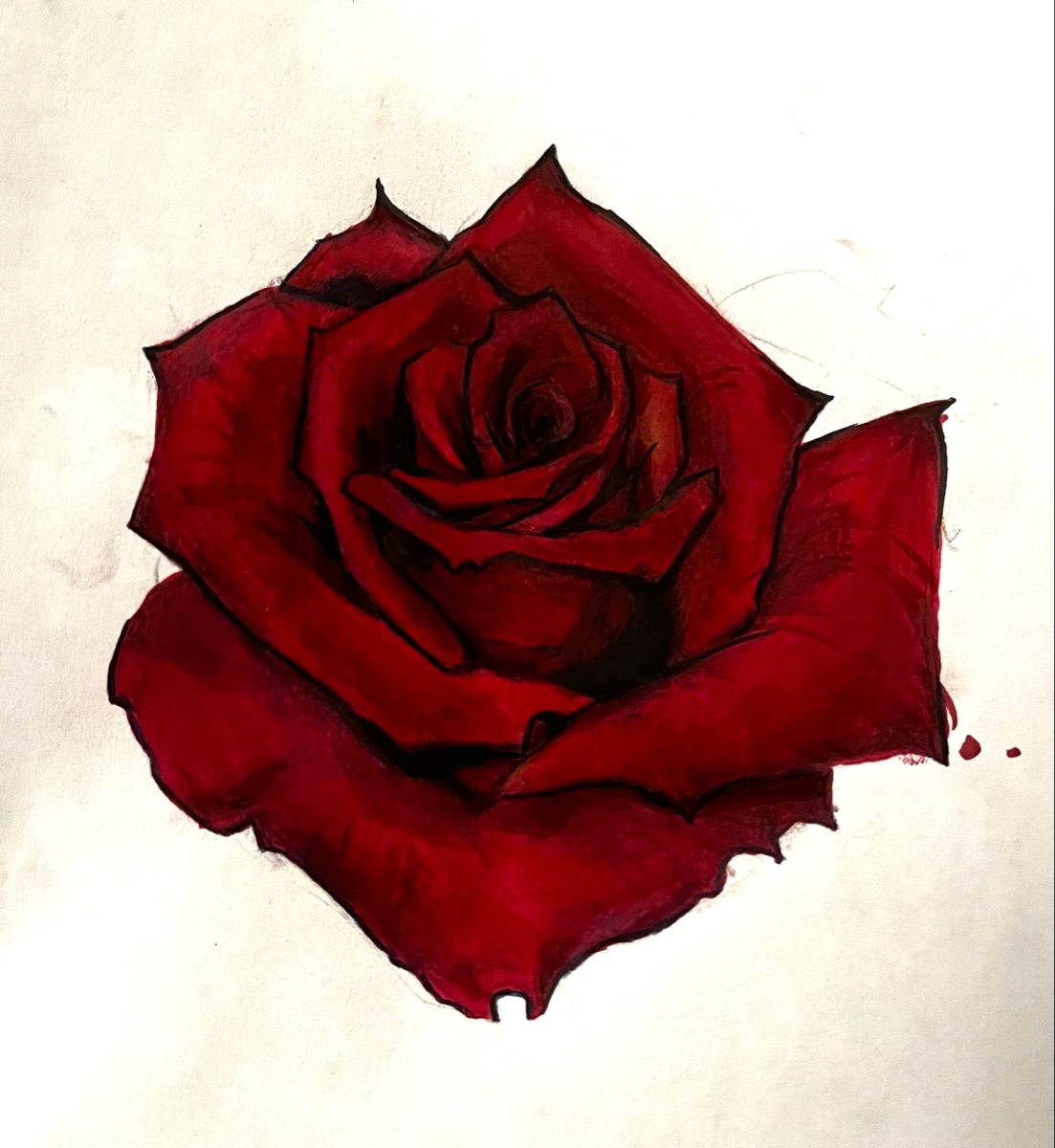 Elegant Red Rose Blossom