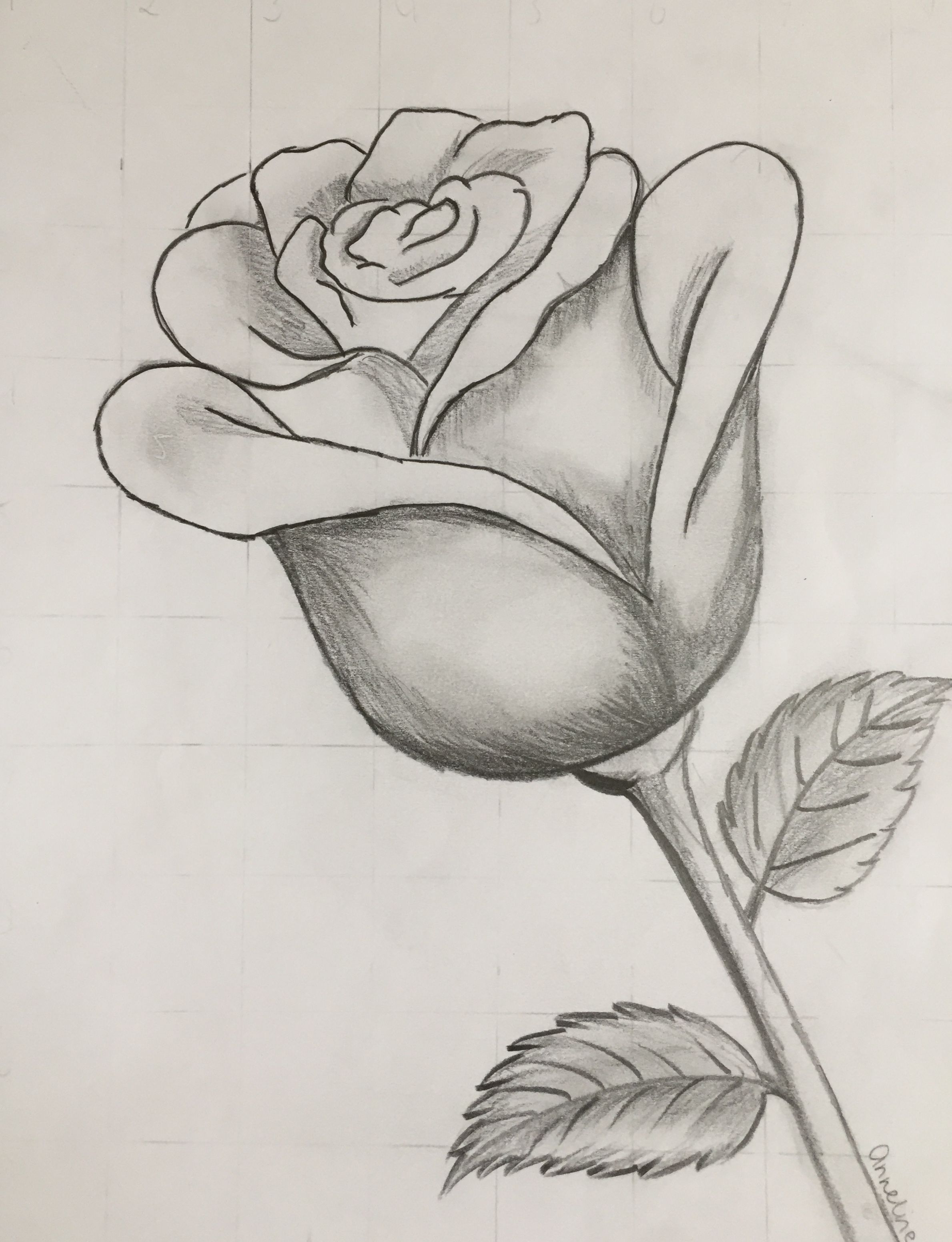 Elegant Rose Blossom with Detailed Stem