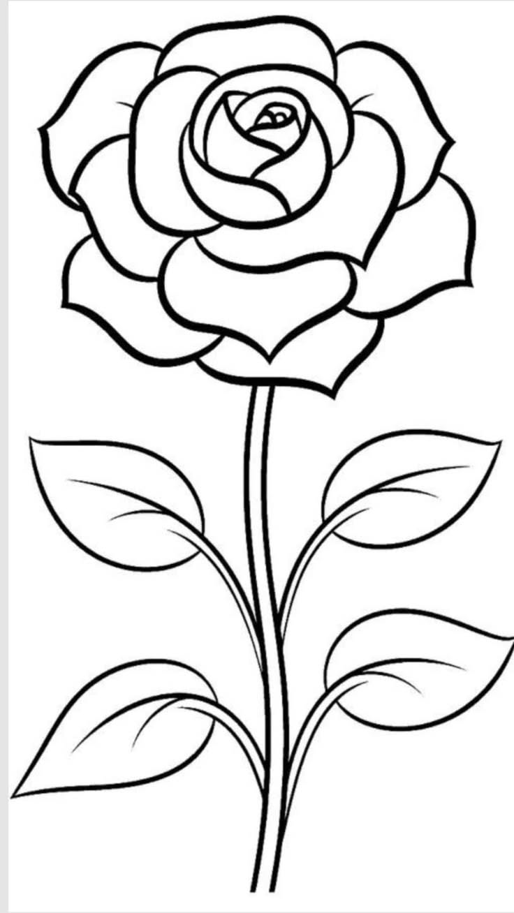 Elegant Rose in Full Bloom