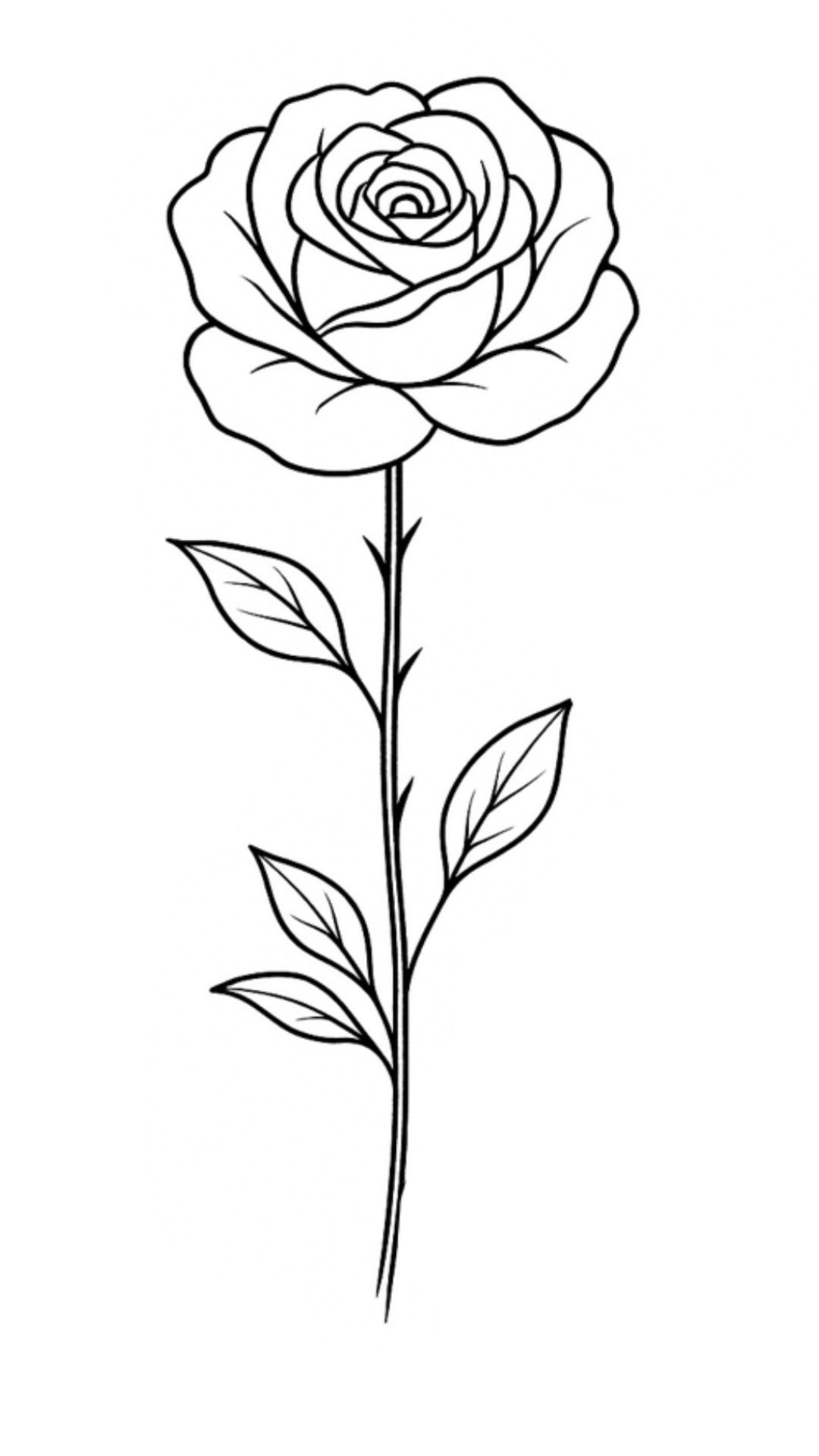 Elegant Rose on Stem