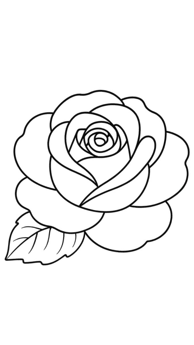 Flower Drawing: Elegant Rose with Leaf