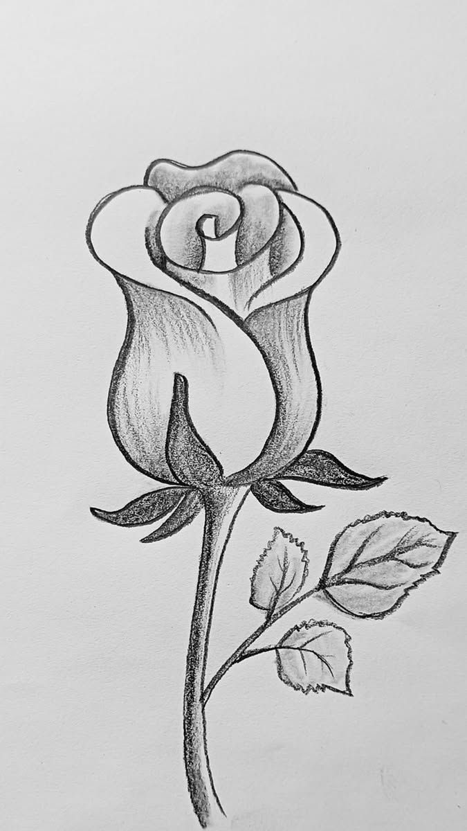 Elegant Rose with Leafy Stem