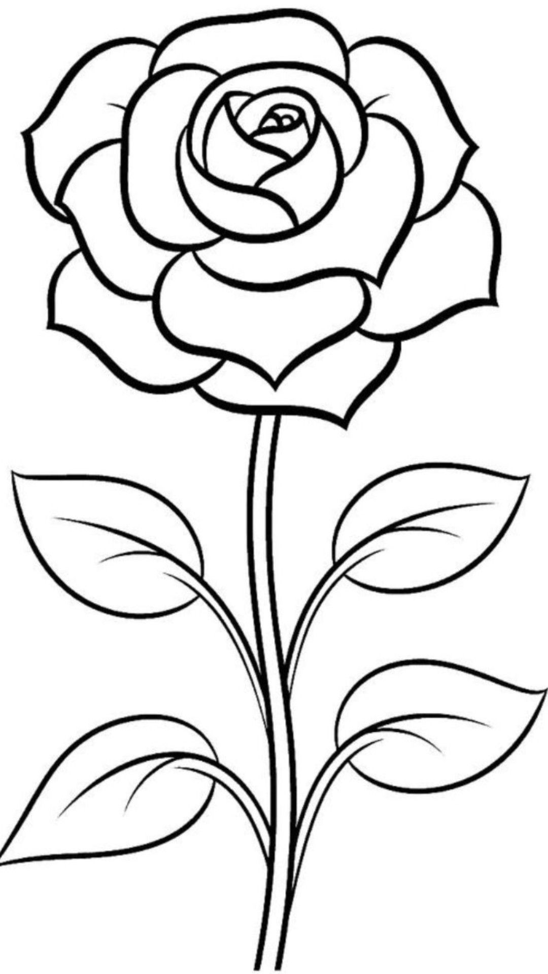 Flower Drawing: Elegant Rose with Leaves