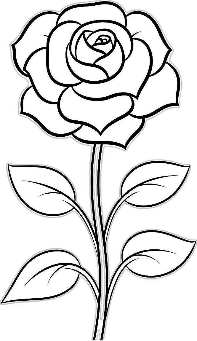 Elegant Rose with Leaves