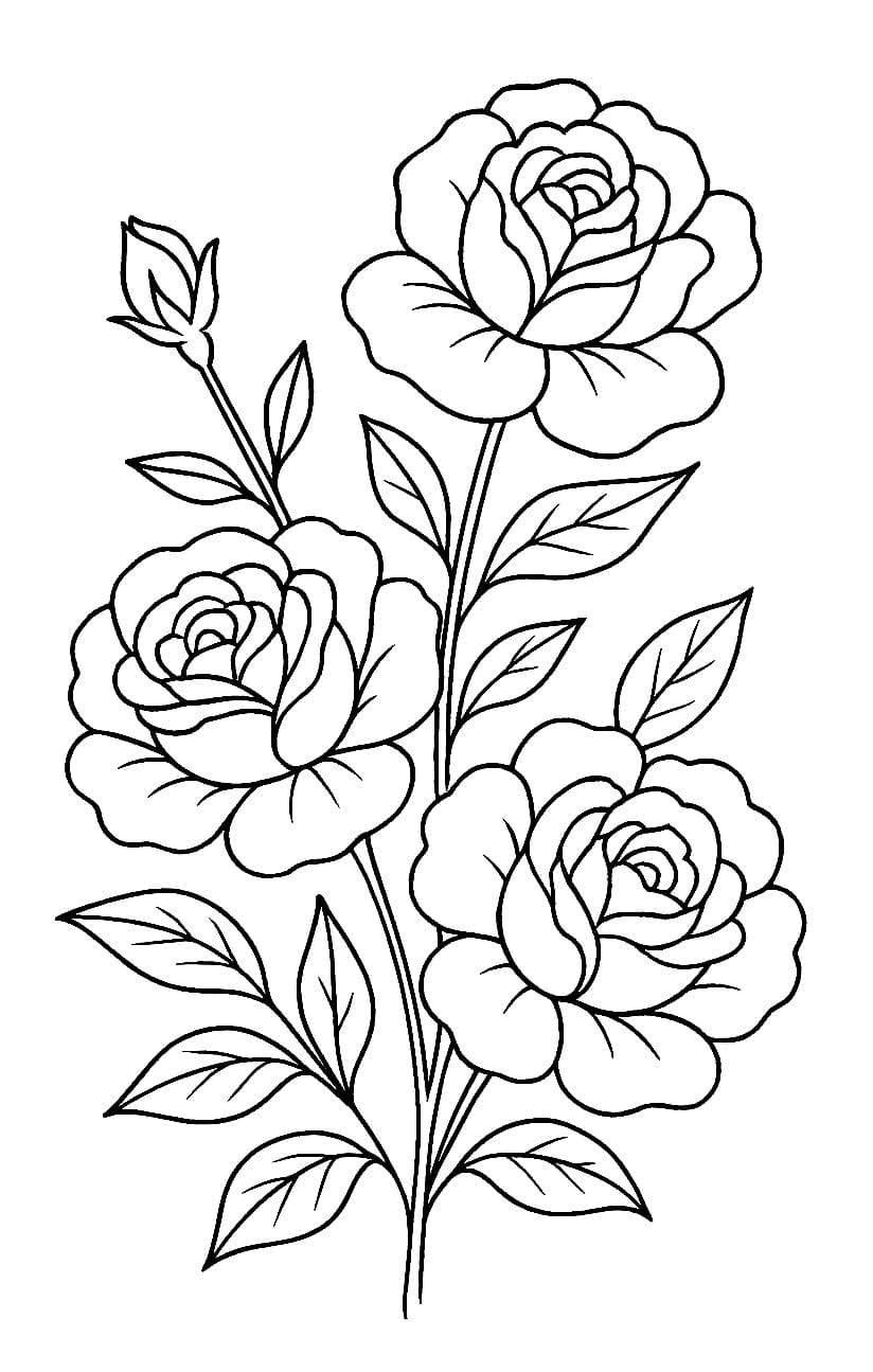Elegant Roses in Bloom