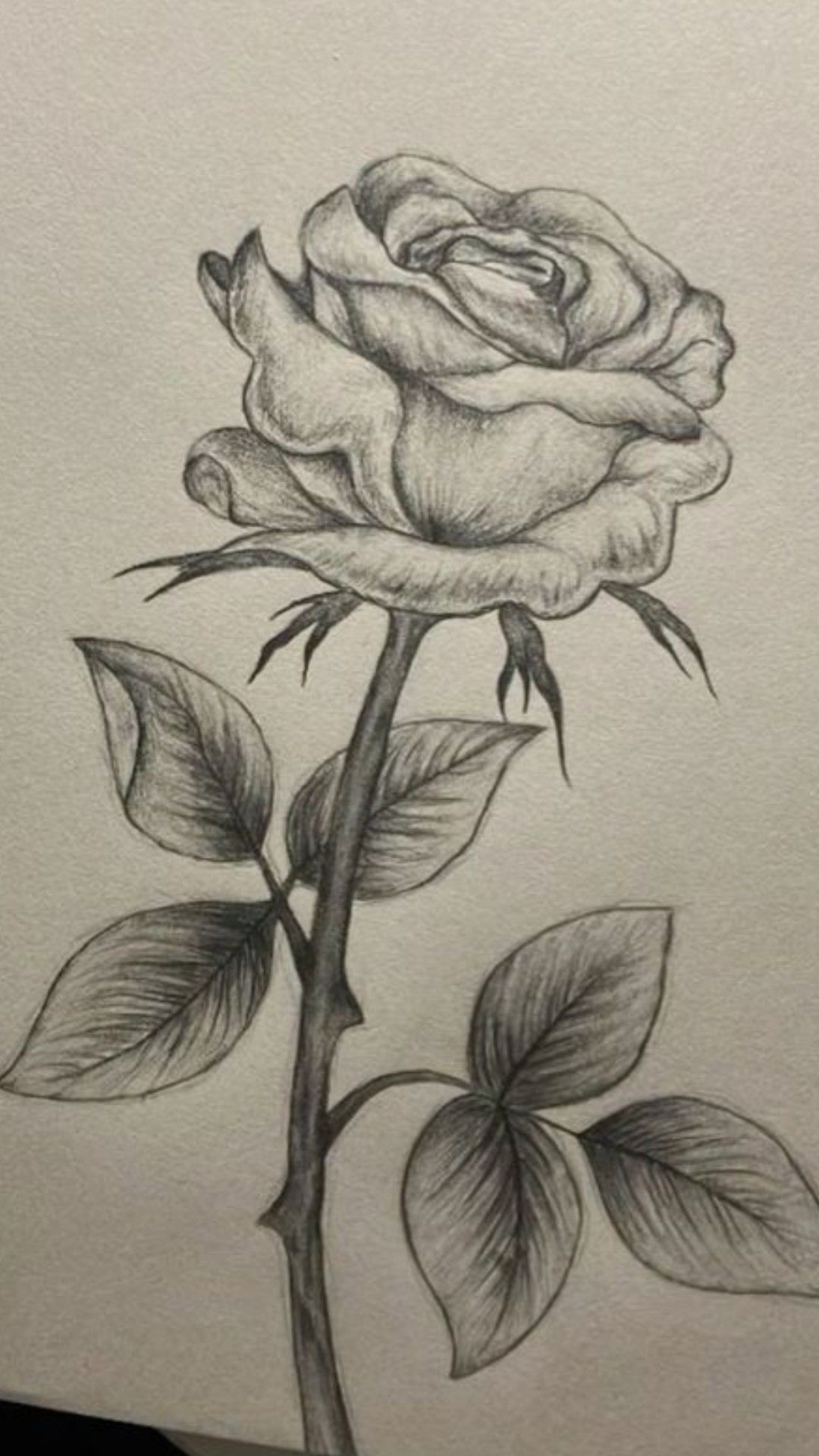 Realistic Rose with Detailed Leaves