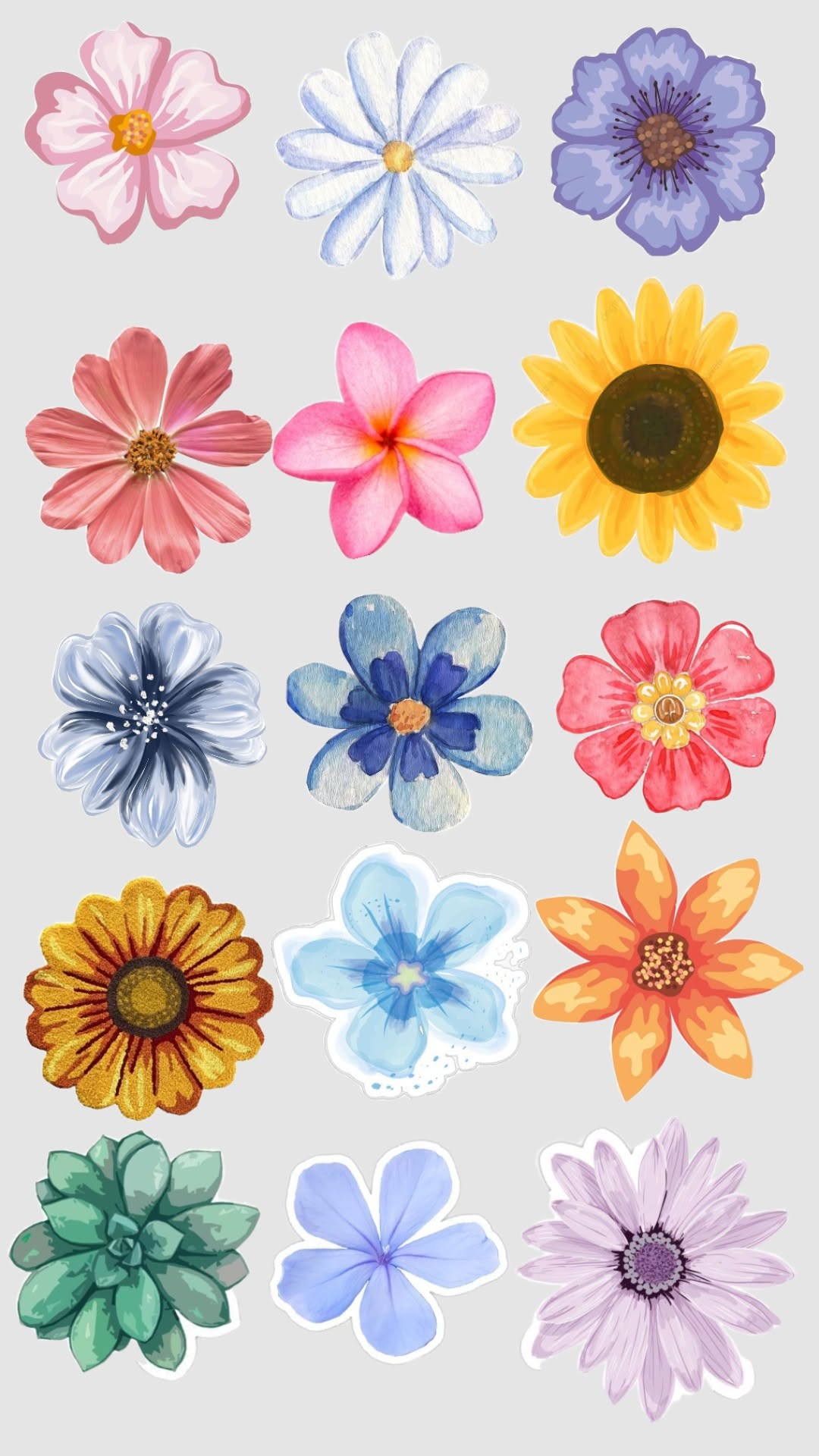 Vibrant Collection of Various Blossoms