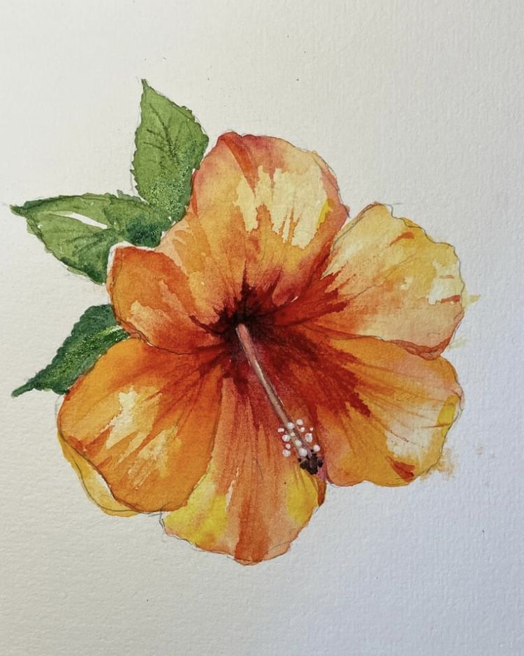 Vibrant Orange Hibiscus with Green Leaves