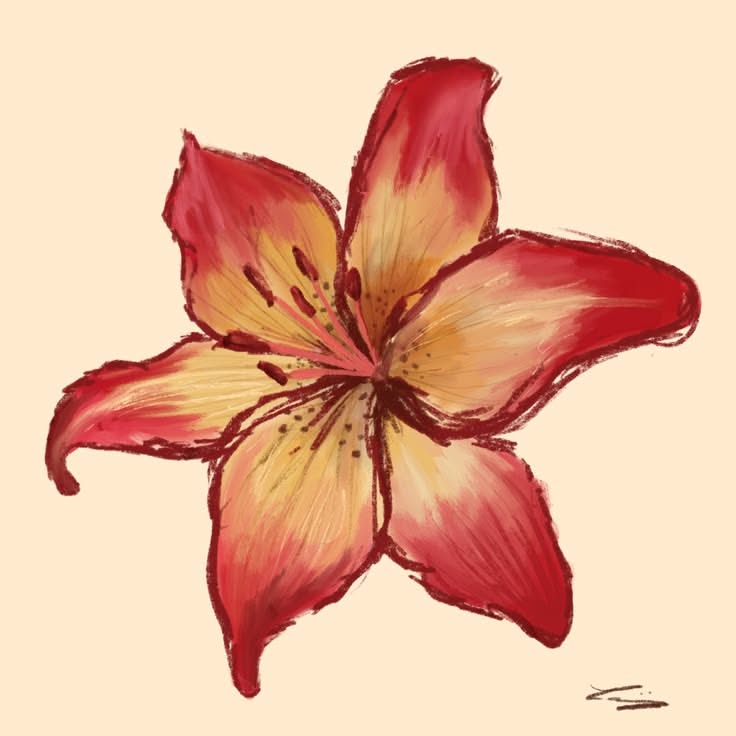 Vibrant Orange Lily in Bloom