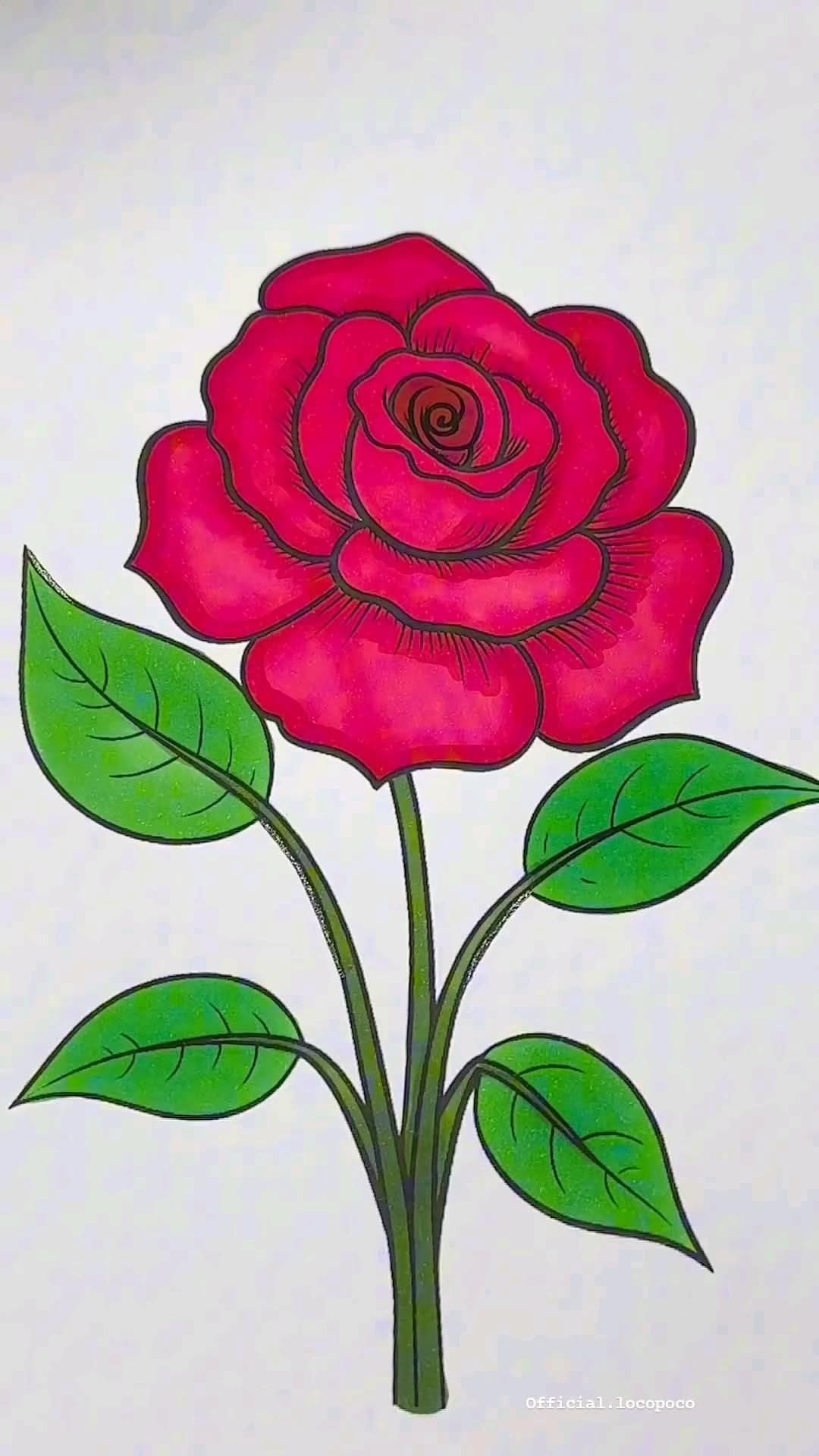 Vibrant Pink Rose with Green Leaves