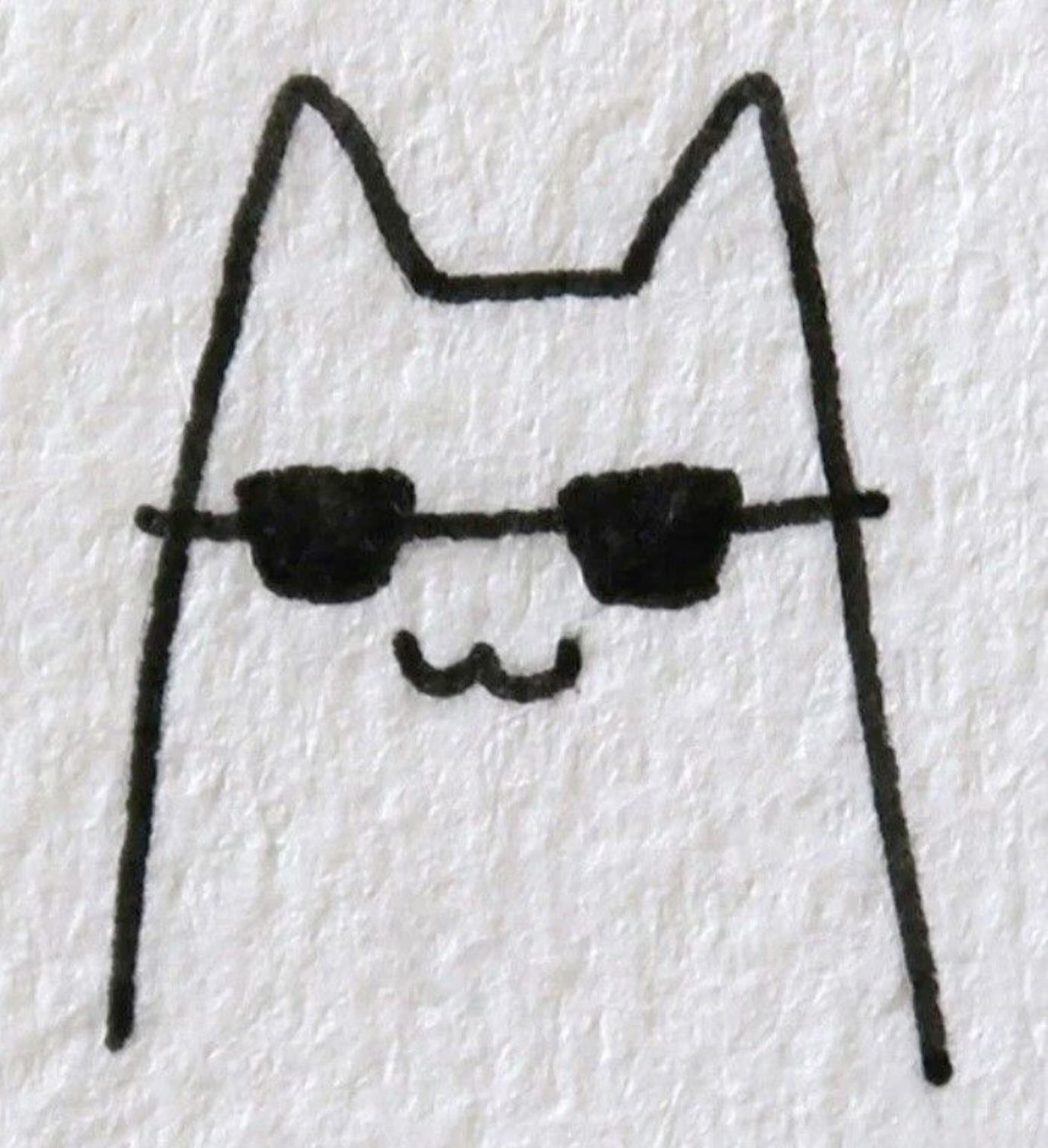Cool Cat in Sunglasses