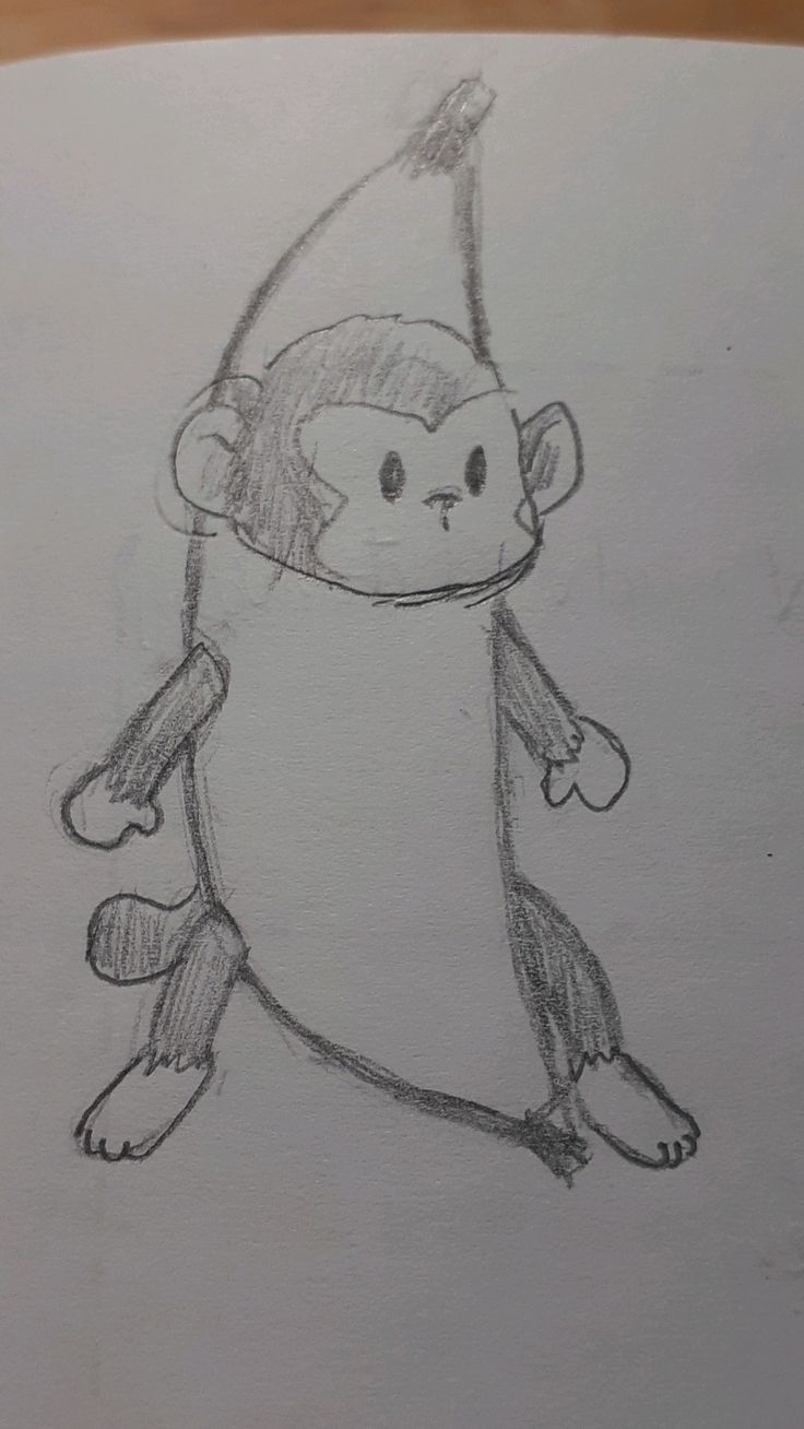 Monkey in a Banana Costume