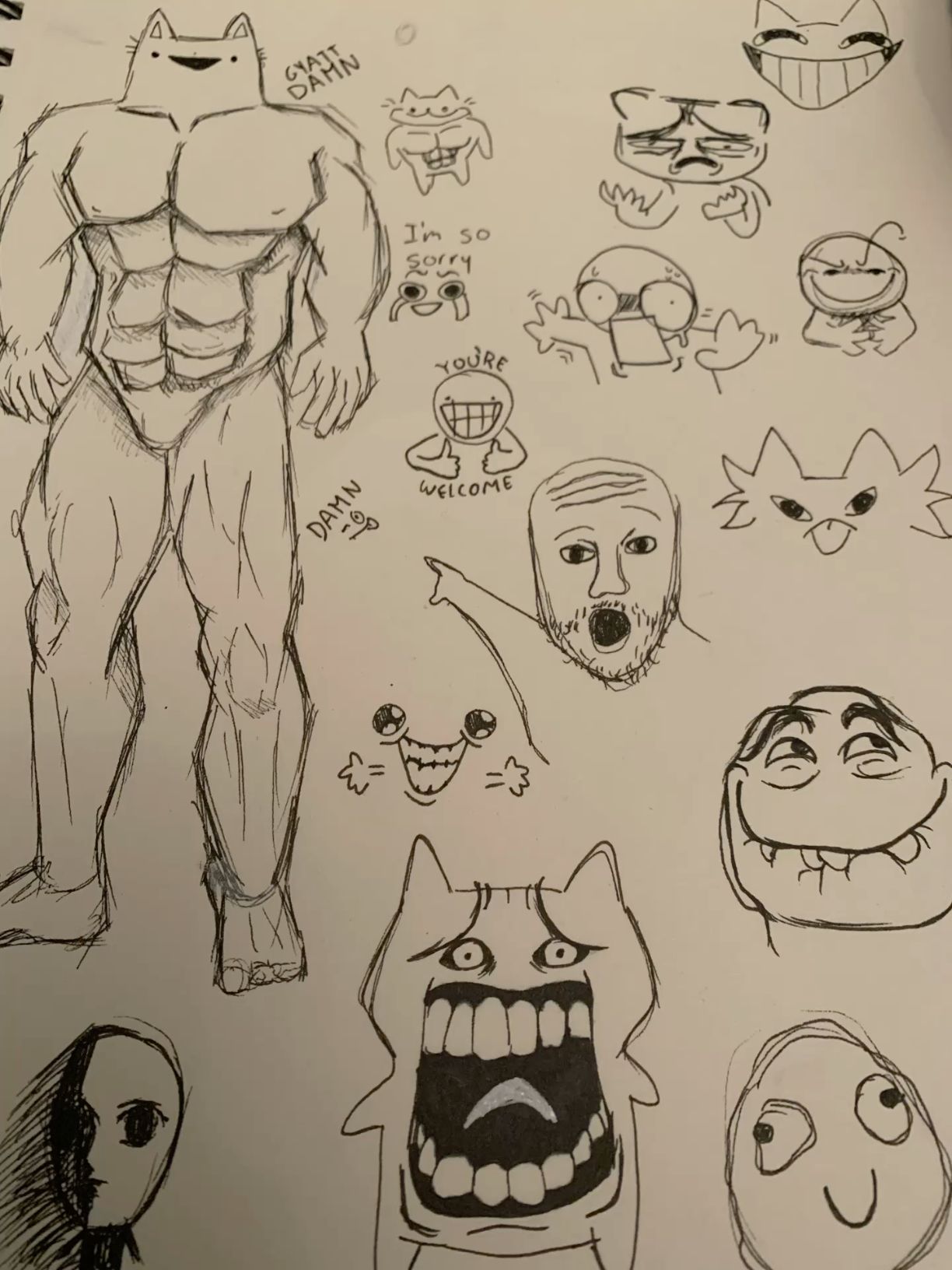 Muscular Cat Flexing with Humorous Faces