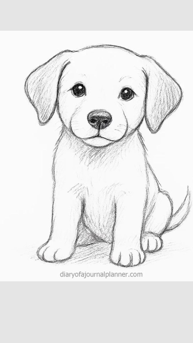 Adorable Puppy Sketch