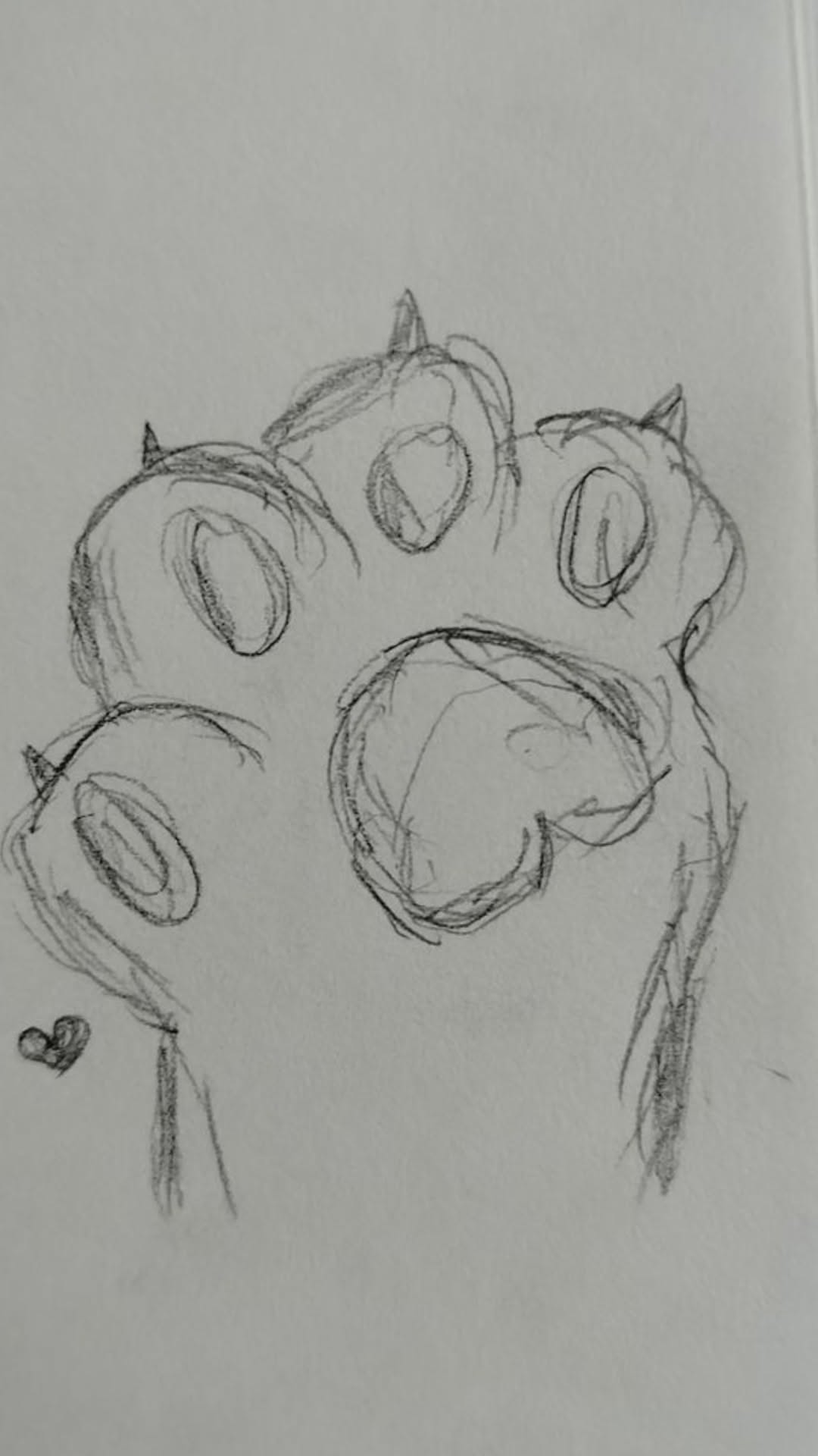 Cute Animal Paw Sketch