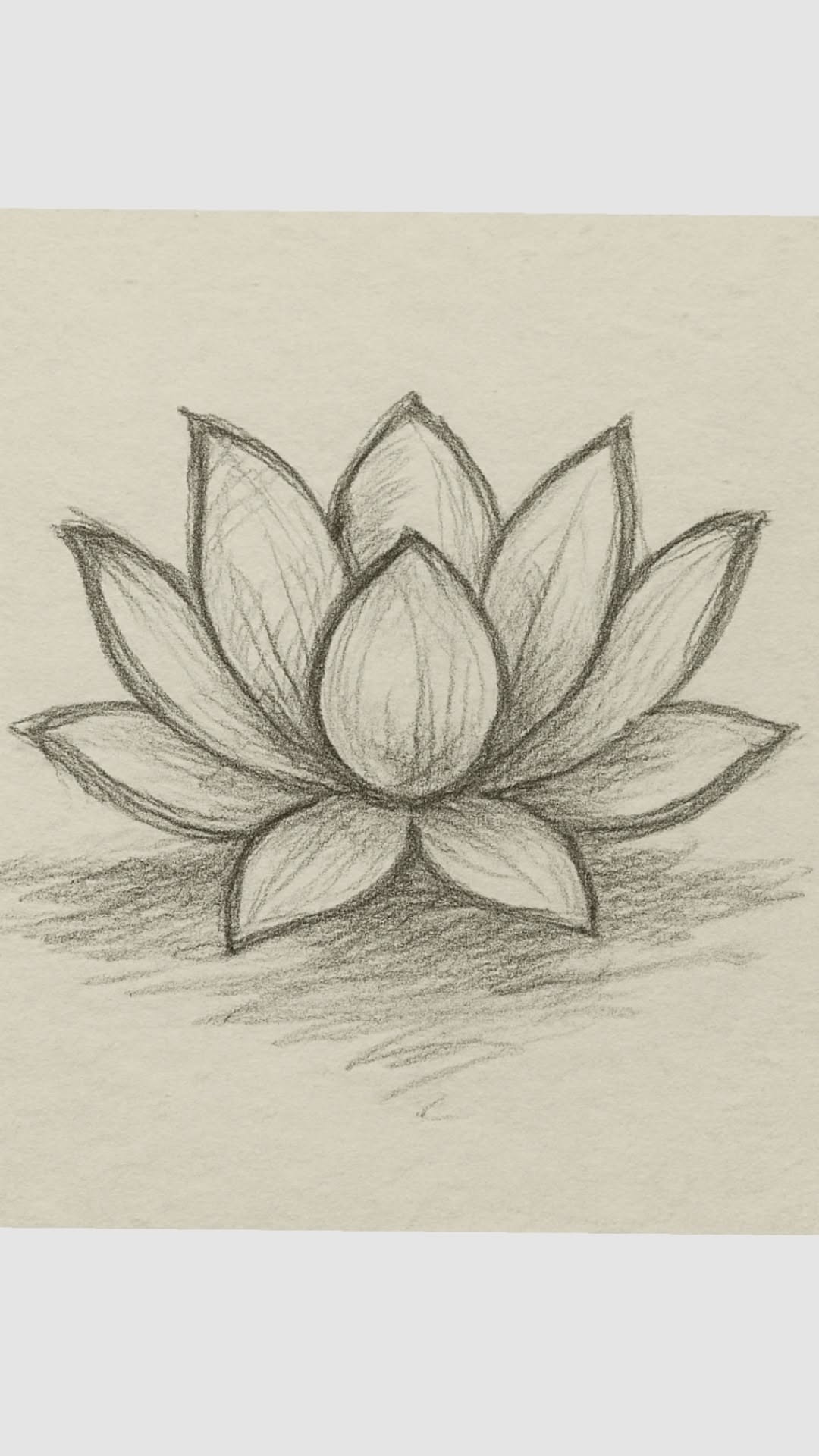 Elegant Lotus Flower