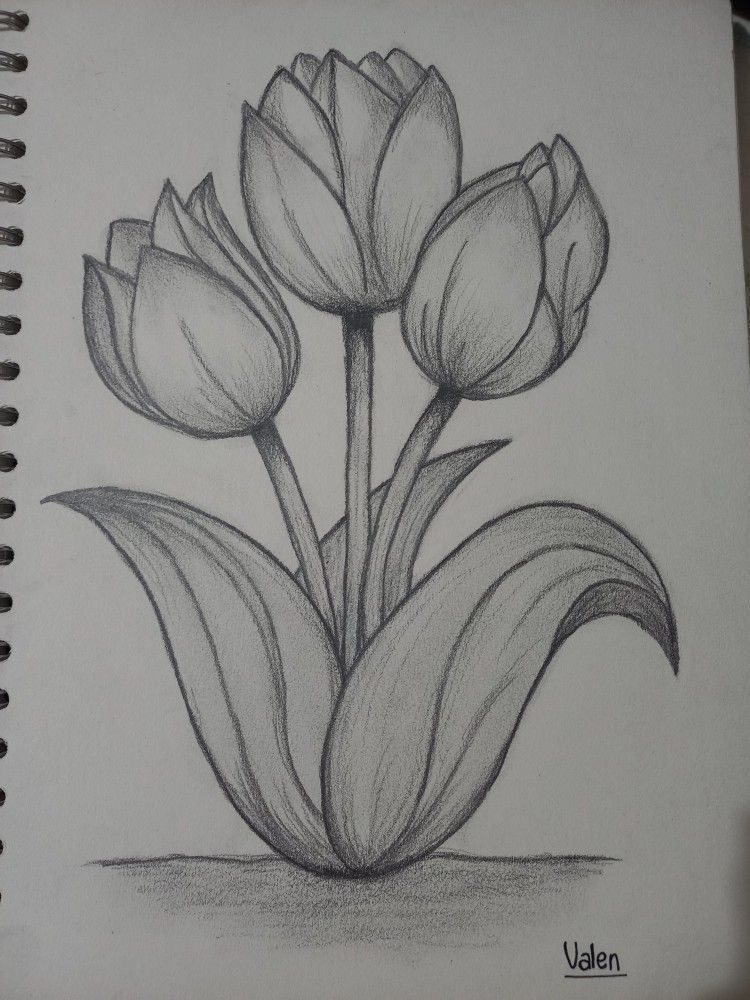 Elegant Tulip Bouquet