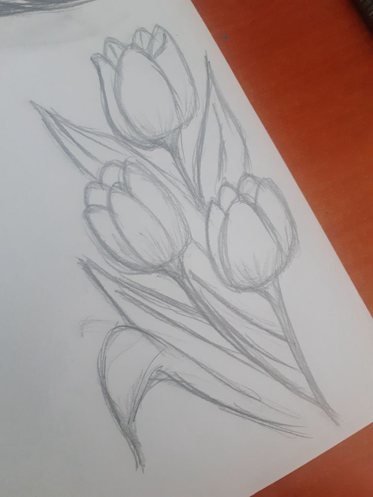 Elegant Tulip Bouquet