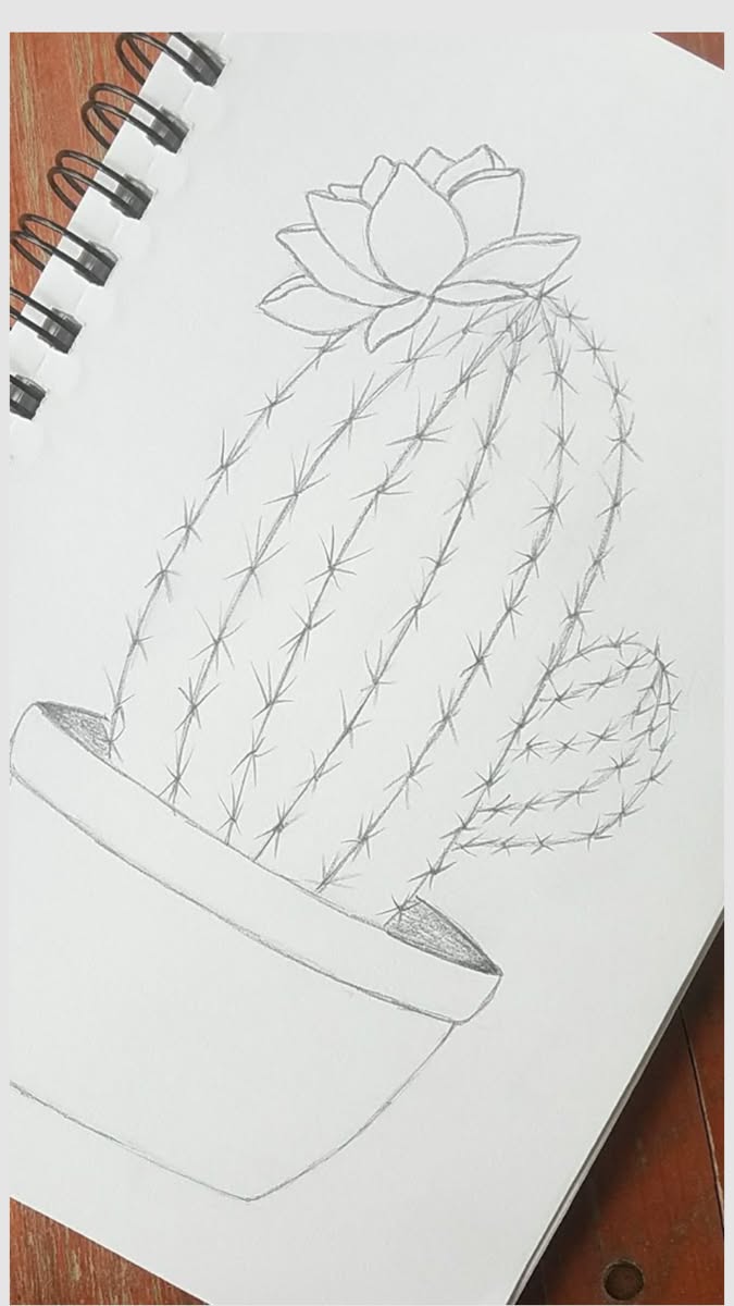 Realistic Cactus in Pot