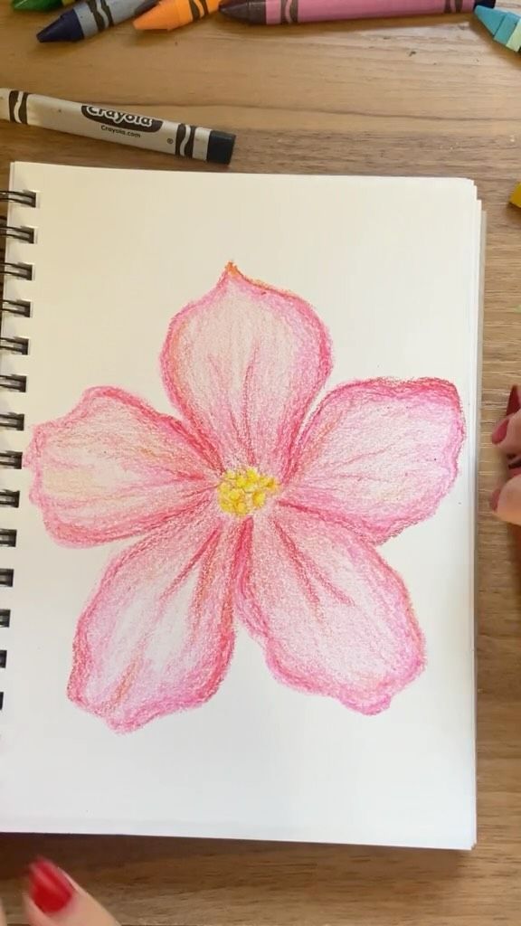 Pencil Drawing to Draw: Vibrant Pink Flower Sketch