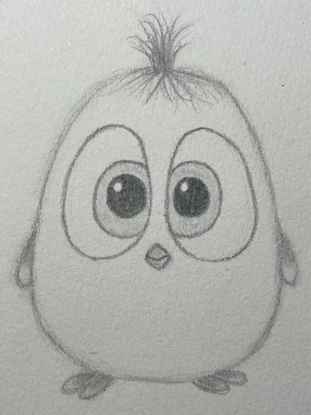 Adorable Baby Bird Drawing