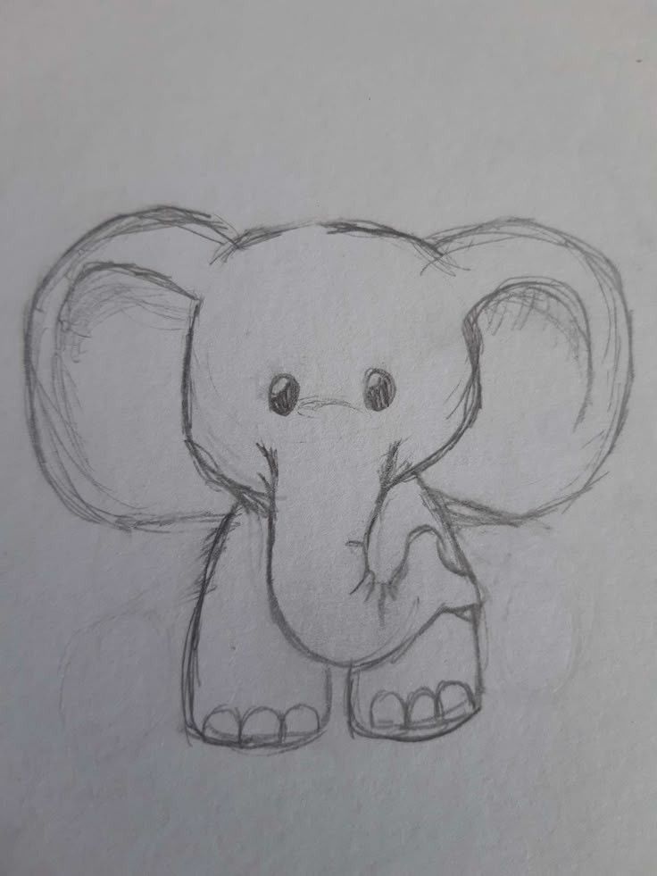 Adorable Baby Elephant Sketch