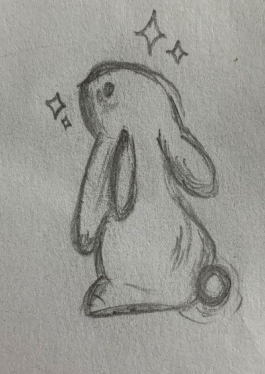 Adorable Bunny Sketch Drawing
