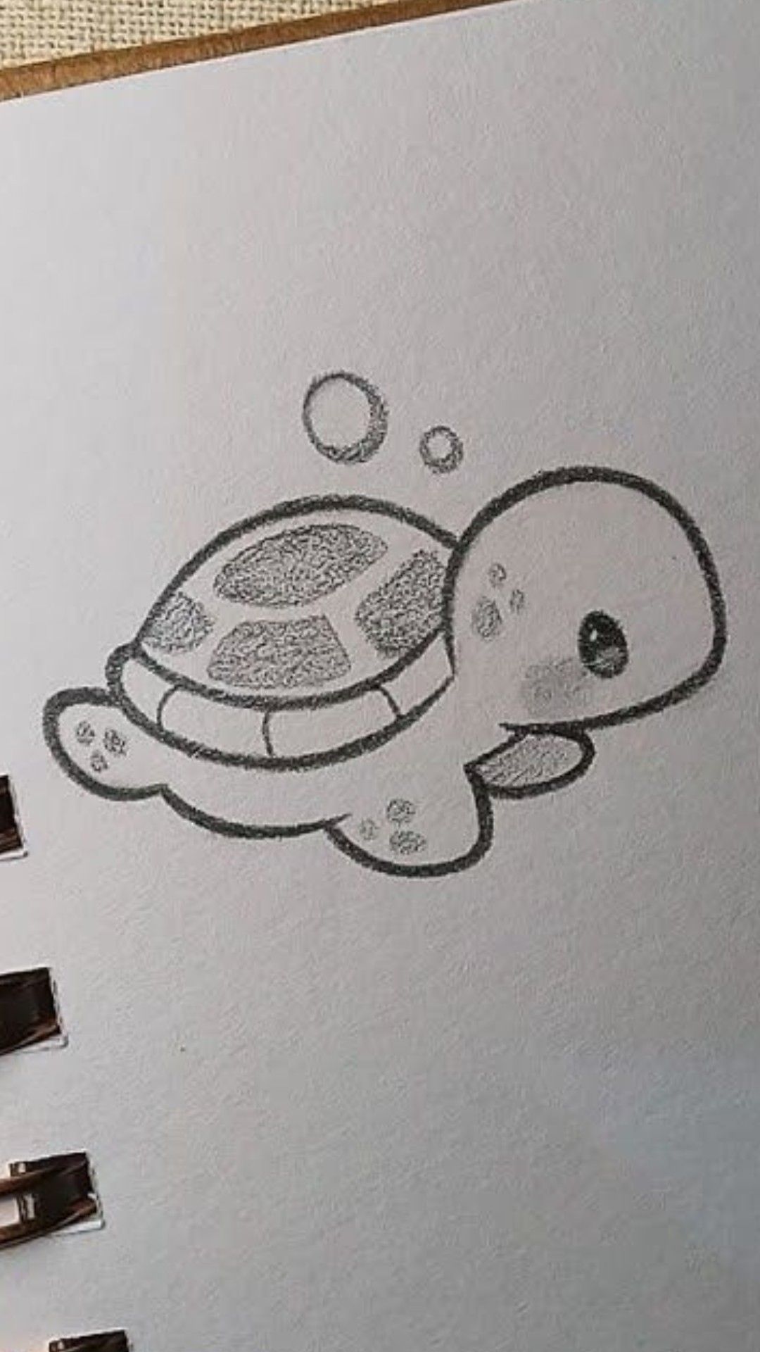 Adorable Cartoon Turtle Drawing