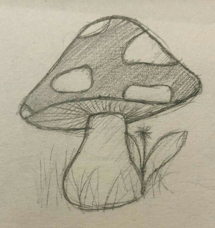 Adorable Mushroom Drawing