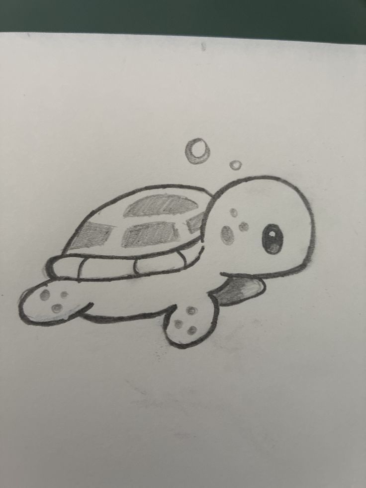 Adorable Swimming Turtle Drawing