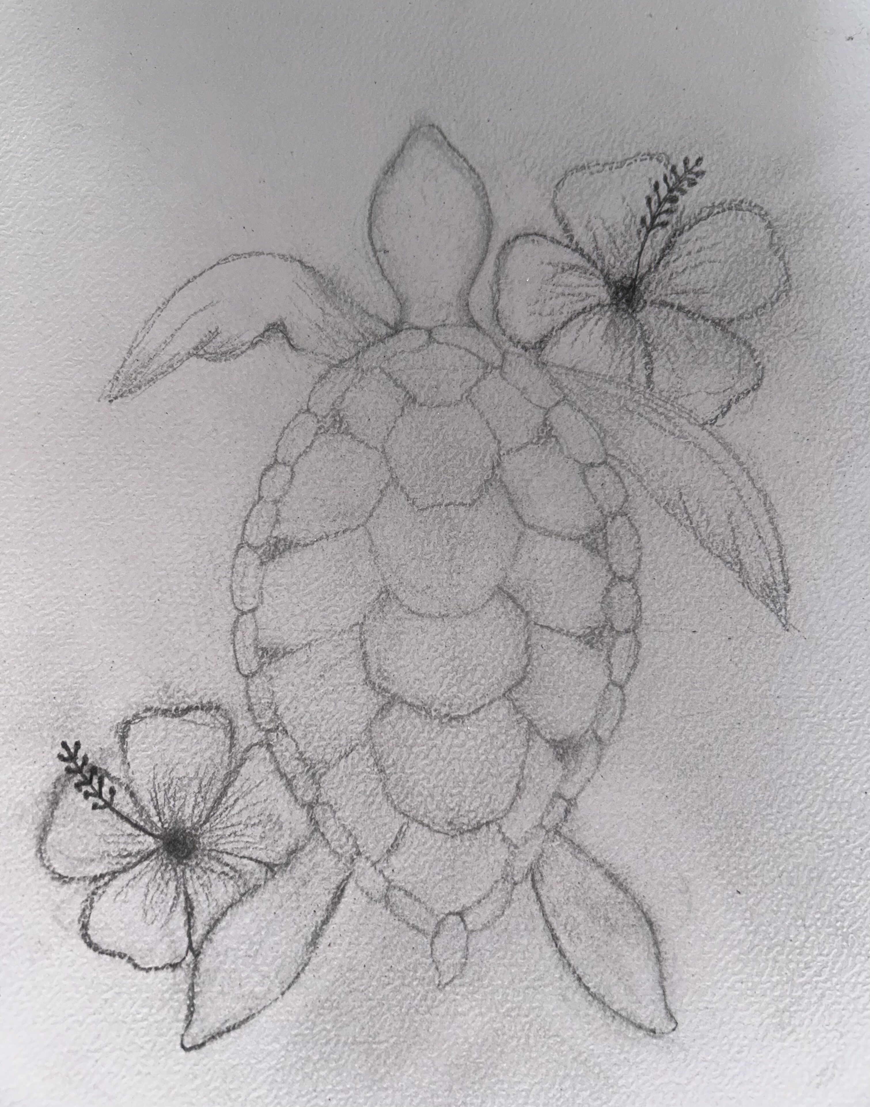 Adorable Turtle with Hibiscus Flowers Drawing