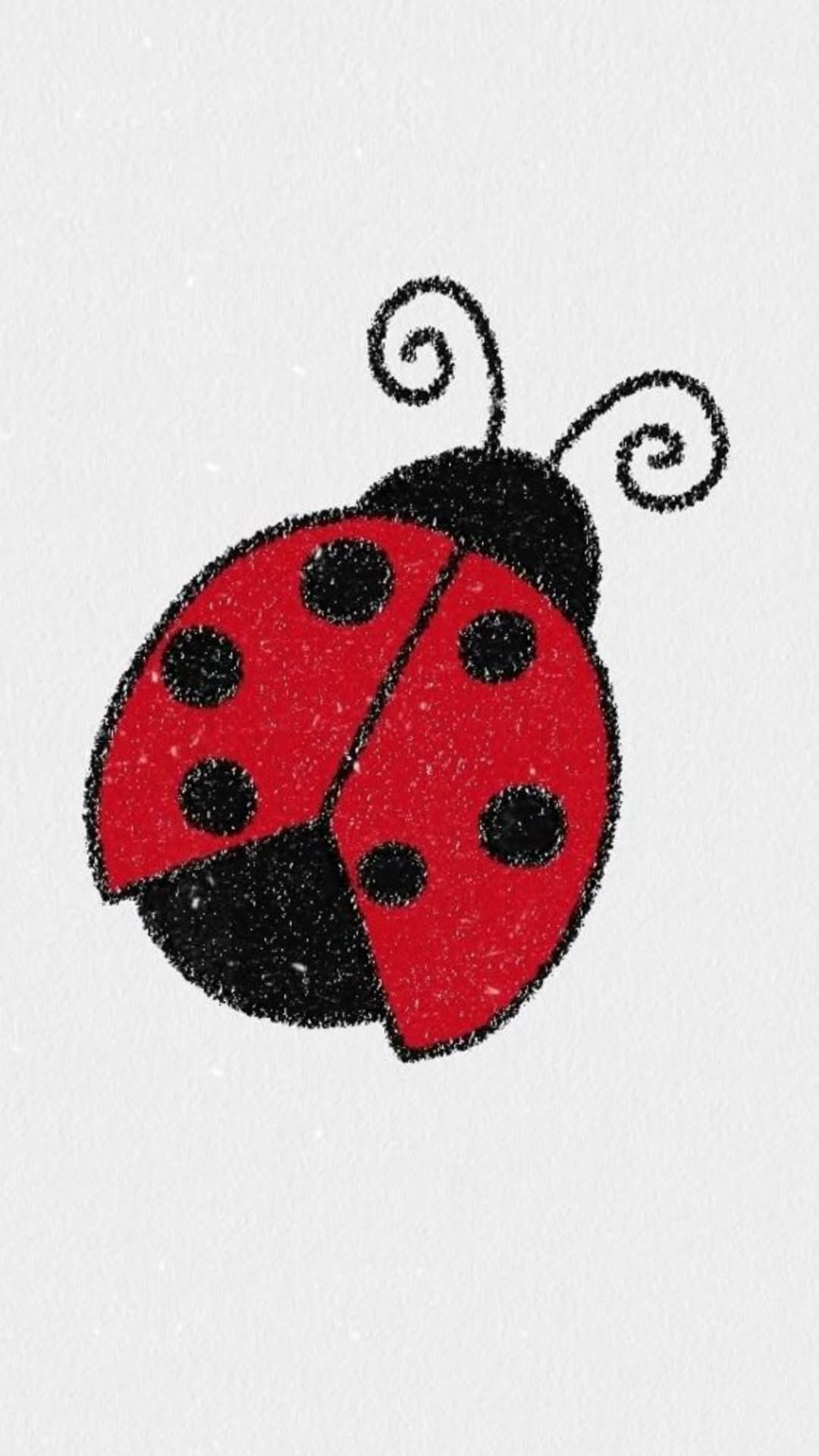 Simple Things to Draw: Cute Ladybug Drawing