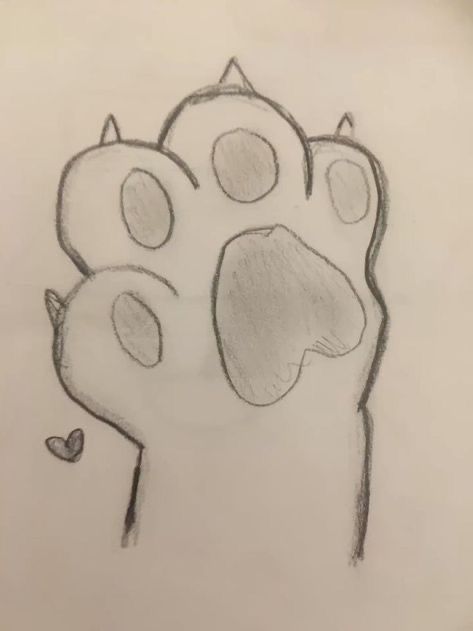 Cute Paw Print Drawing
