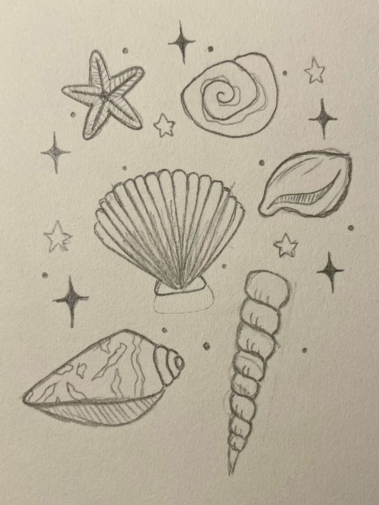Cute Shell and Starfish Doodle Drawing