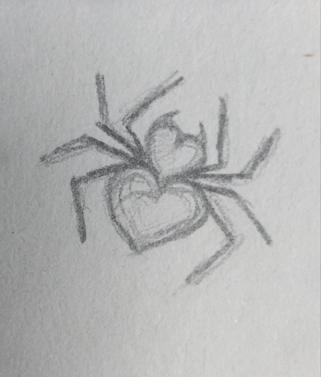 Cute Spider with Heart Design Drawing